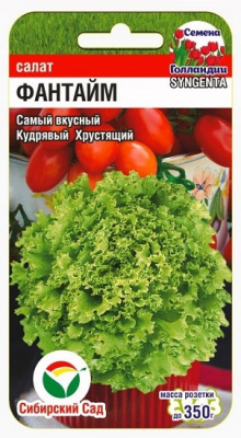 Салат Фантайм