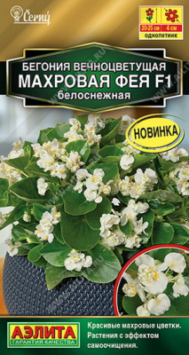 Бегония вечноцветущая Фея махровая белоснежная