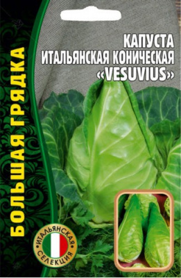 Итальянская коническая