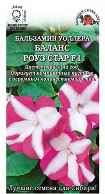 Бальзамин Баланс Розе Стар (Золотая сотка)