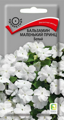 Бальзамин Маленький принц белый