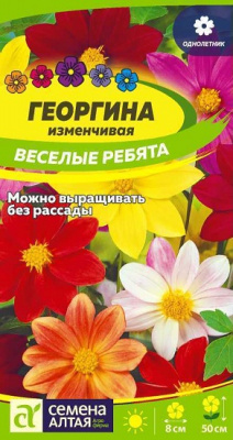Георгина Весёлые ребята