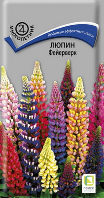 Люпин Фейерверк (Поиск)