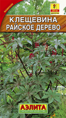 Клещевина обыкновенная Райское дерево