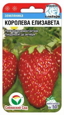 Клубника Королева Елизавета