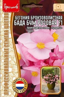 Бегония Бада Бум Розовая