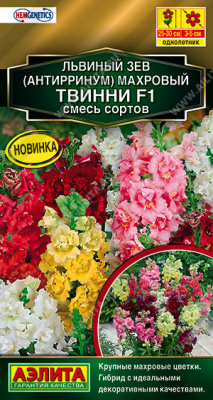 Львиный зев Твинни махровый