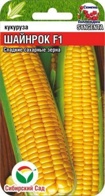 Шайнрок