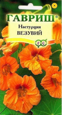 Настурция Везувий