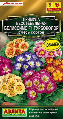 Примула Белиссимо турбоколор смесь