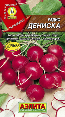 Редис Дениска