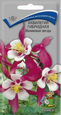 Аквилегия Малиновая звезда