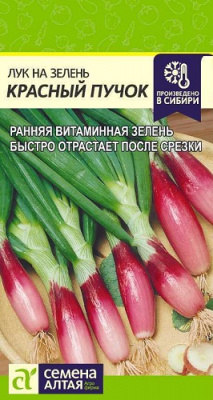 Лук на зелень Красный Пучок