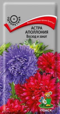 Астра Аполлония Восход и закат