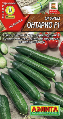 Огурец Онтарио