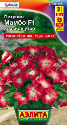 Петуния Мамбо F1 красное утро