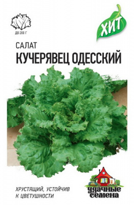 Салат Кучерявец Одесский