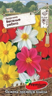 Георгина Веселые ребята