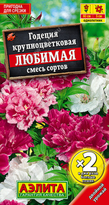Годеция Любимая, смесь сортов