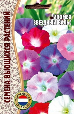 Ипомея Звездный вальс 15шт