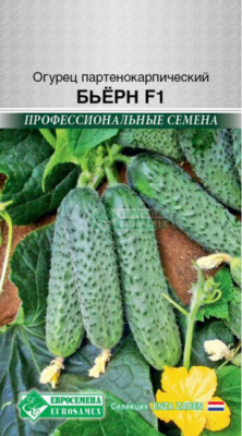 Огурец Бьерн