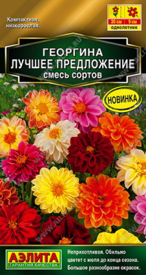 Георгина Лучшее предложение смесь сортов