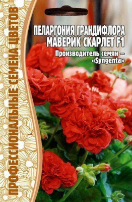 Пеларгония Маверик Скарлет