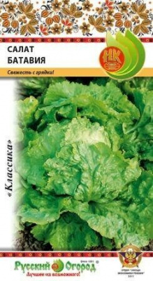 Салат Батавия кочанный (НК)