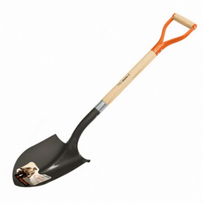 17154