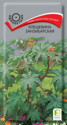 Клещевина занзибарская