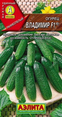 Огурец Владимир