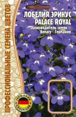 Лобелия Palace Royal эринус