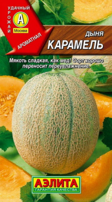 Дыня КАРАМЕЛЬ