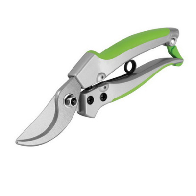sekator_0804