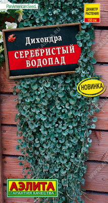 Дихондра Серебристый водопад