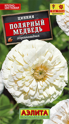 Цинния Полярный медведь