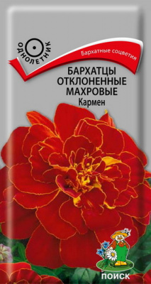 Бархатцы Кармен