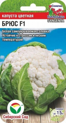 Капуста цветная Брюс