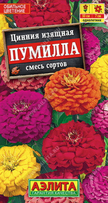 Цинния Пумилла смесь