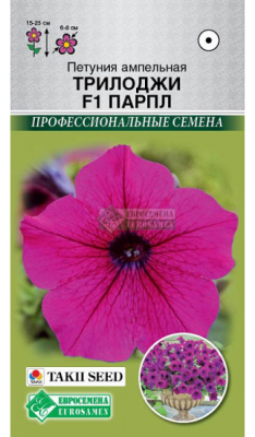 Петуния Трилоджи Парпл