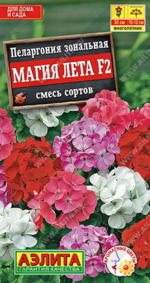 Пеларгония зональная Магия лета, смесь