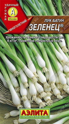 Лук батун Зеленец
