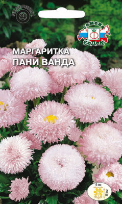 Маргаритка Пани Ванда