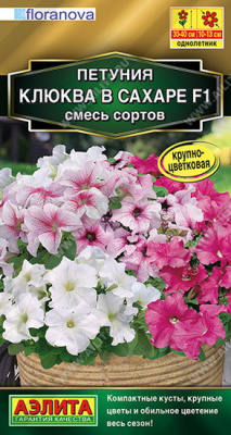 Петуния Клюква в сахаре, смесь окрасок