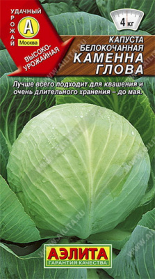Капуста белокочанная Каменна Глова