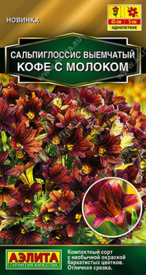 Сальпиглоссис Кофе с молоком