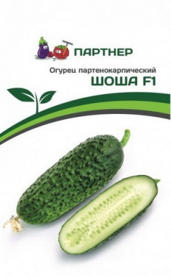 Огурец ШОША