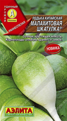 Редька китайская Малахитовая шкатулка