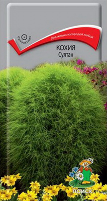Кохия Султан