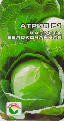 Капуста Атрия